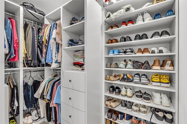 view of walk in closet