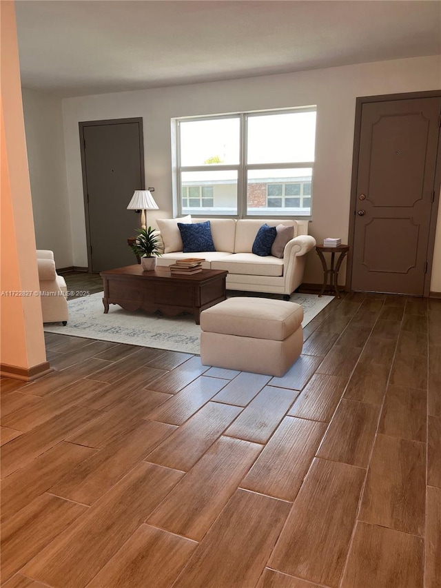 living room featuring hardwood / wood-style floors