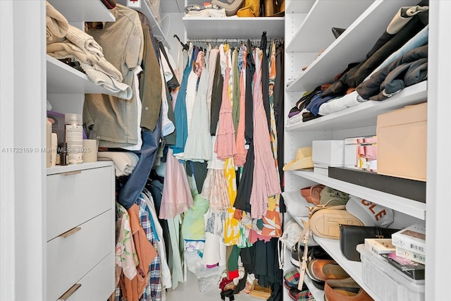 view of spacious closet