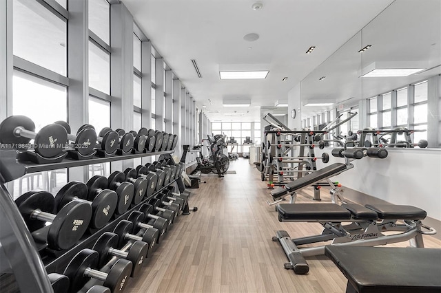 gym featuring light hardwood / wood-style flooring