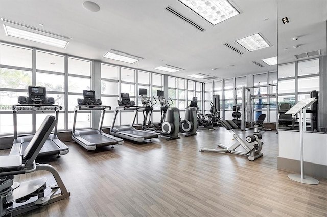 workout area featuring expansive windows and hardwood / wood-style flooring