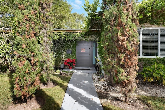 view of doorway to property