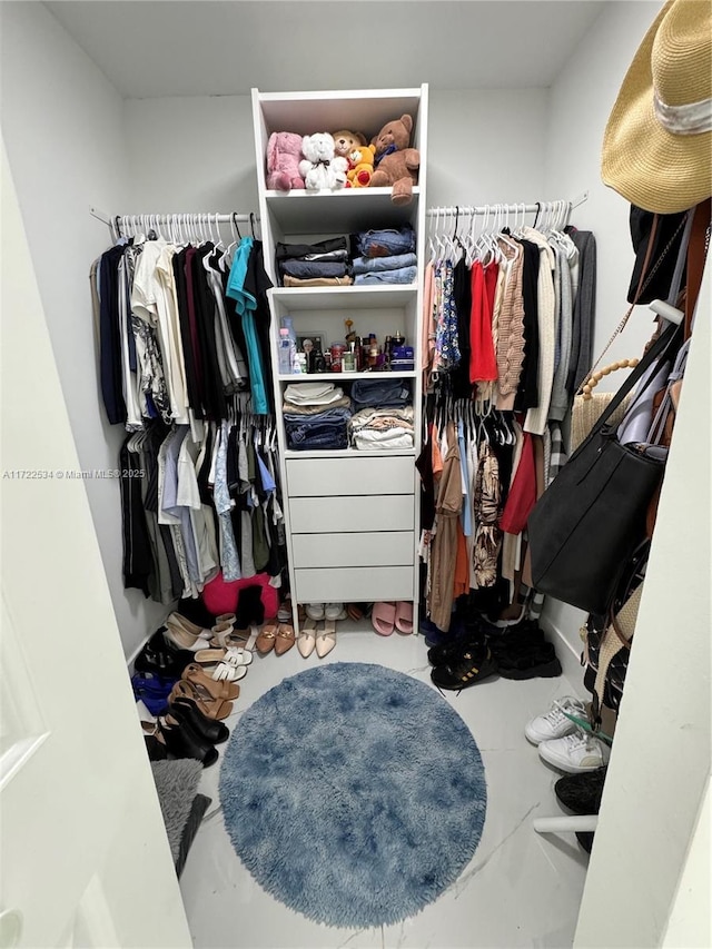 view of walk in closet