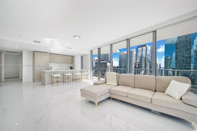 living room featuring expansive windows