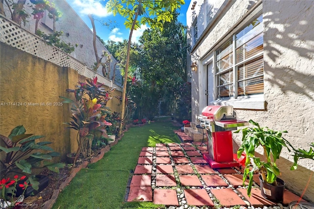 exterior space with grilling area