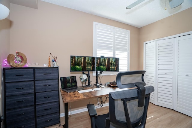 office with light wood-type flooring