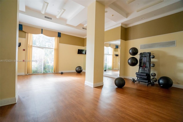 workout room featuring hardwood / wood-style floors