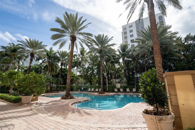 view of pool with a patio area