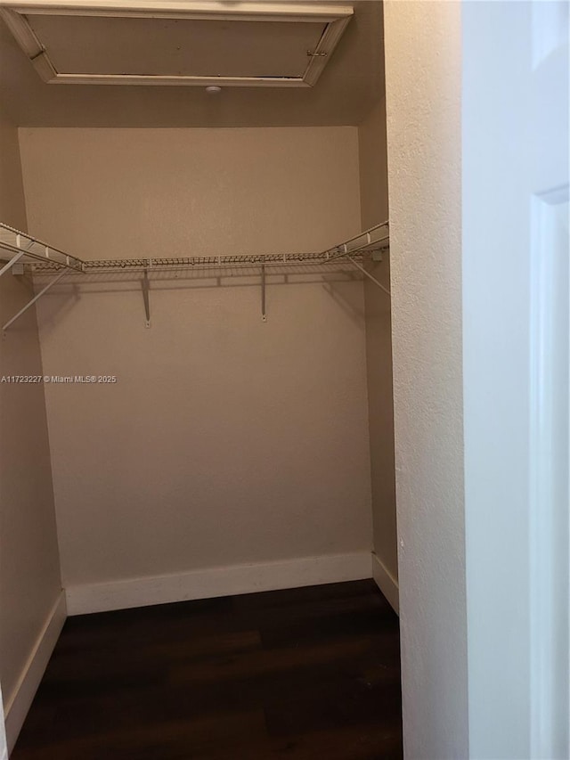 walk in closet with dark hardwood / wood-style flooring