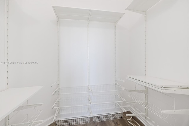 spacious closet with wood-type flooring