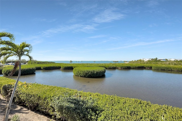 view of water feature