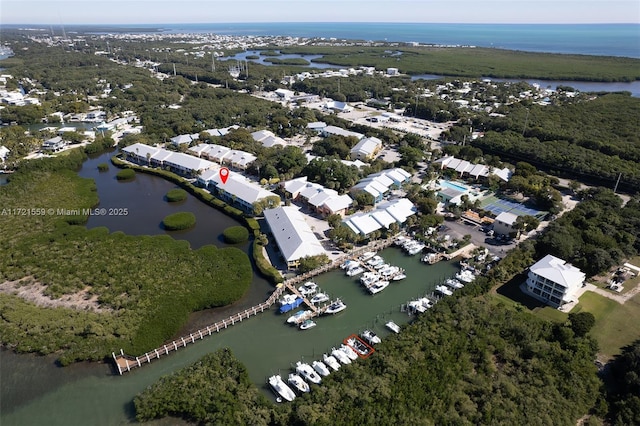 bird's eye view with a water view