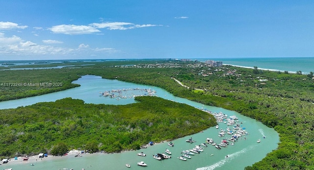 drone / aerial view with a water view