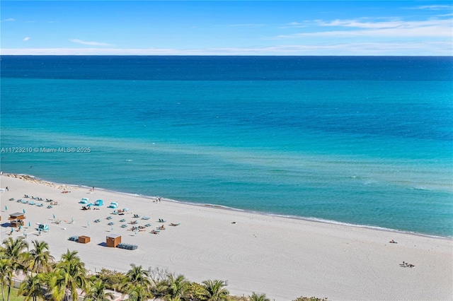 property view of water with a beach view