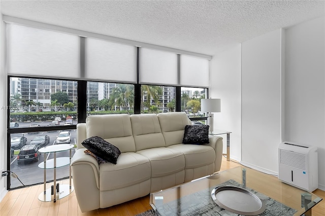 living room featuring a textured ceiling and light wood-type flooring