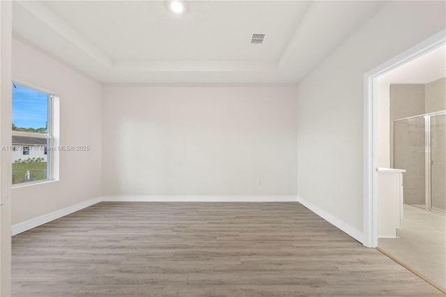 spare room featuring light hardwood / wood-style floors and a tray ceiling