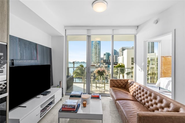 living room featuring floor to ceiling windows and plenty of natural light