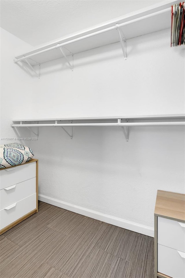 spacious closet featuring dark wood-type flooring