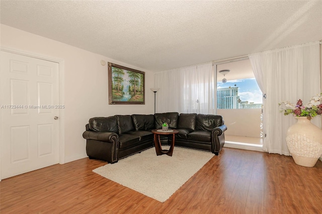 living room with wood-type flooring and a textured ceiling