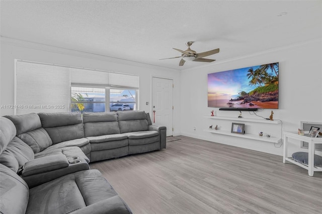 living room with ceiling fan, light hardwood / wood-style floors, ornamental molding, and a textured ceiling