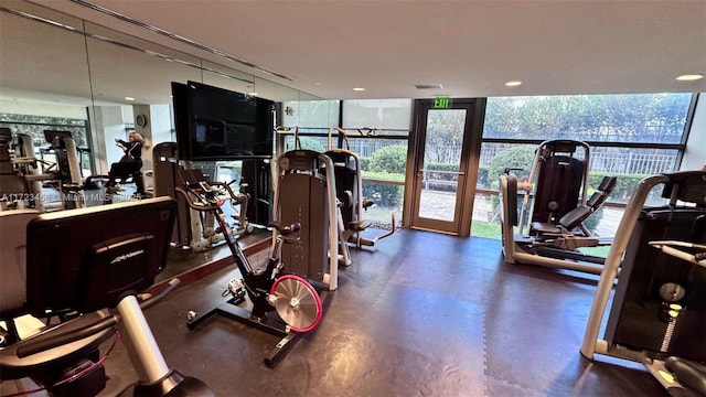 exercise room featuring plenty of natural light and expansive windows