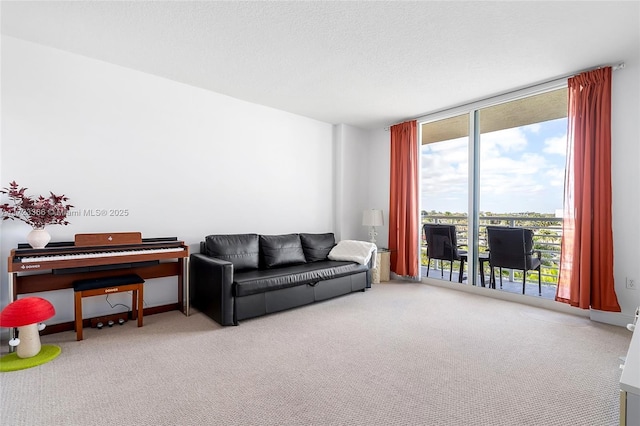 carpeted living room featuring floor to ceiling windows