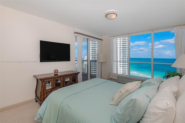 carpeted bedroom featuring access to exterior