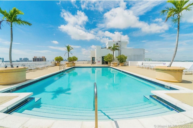 view of swimming pool featuring a patio area