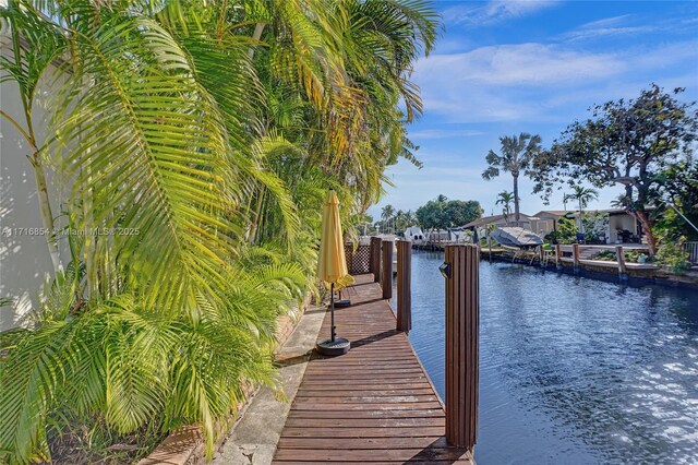 dock area with a water view