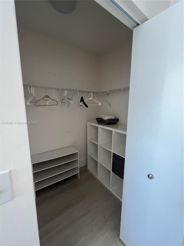 walk in closet featuring wood-type flooring