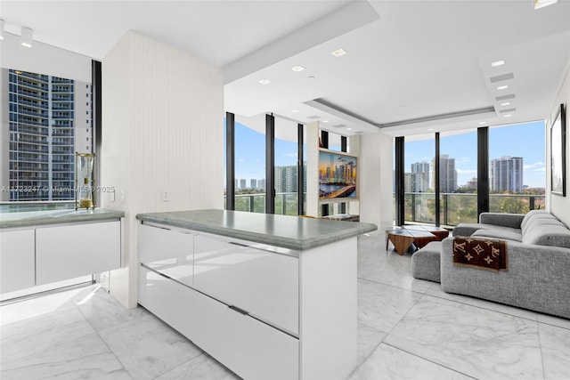 kitchen with a tray ceiling, white cabinetry, a healthy amount of sunlight, and a wall of windows