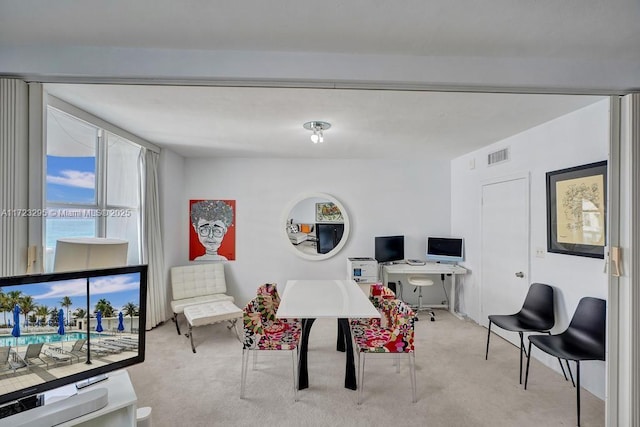 interior space with light colored carpet