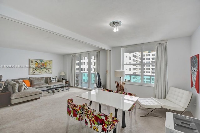 view of carpeted living room