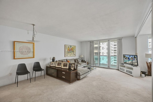 carpeted living room with a wall of windows