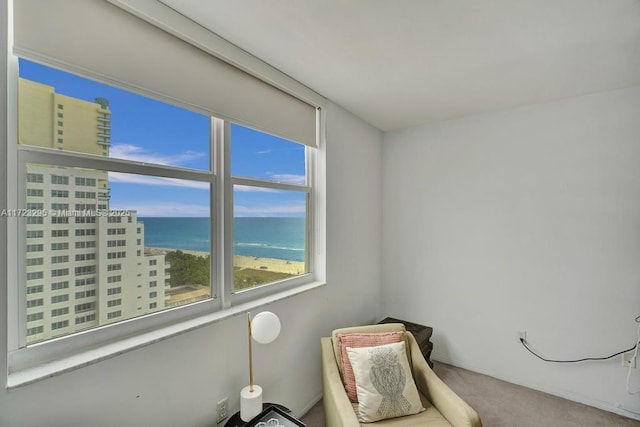 sitting room featuring carpet flooring and a water view