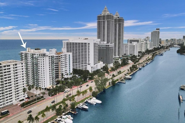 aerial view with a water view