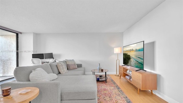 living room with hardwood / wood-style flooring and plenty of natural light