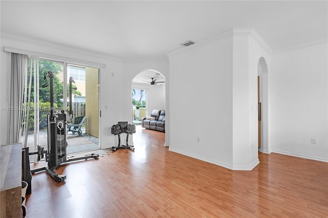 exercise area featuring light hardwood / wood-style floors, ceiling fan, and ornamental molding