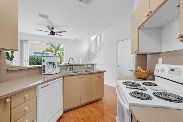 kitchen featuring light brown cabinets, white appliances, sink, light hardwood / wood-style flooring, and ceiling fan