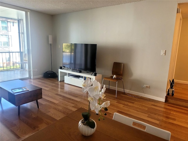 living room with a textured ceiling and hardwood / wood-style flooring