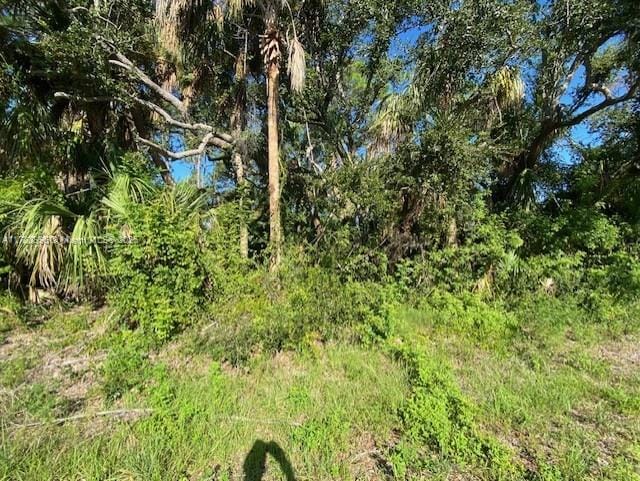 3375 Santili St, Port Charlotte FL, 33948 land for sale