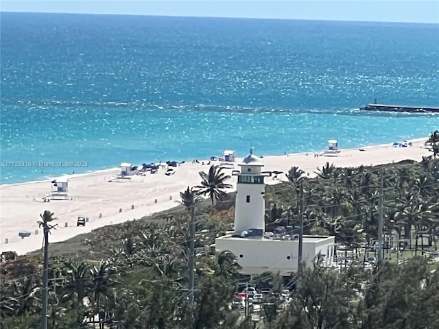 view of water feature featuring a view of the beach