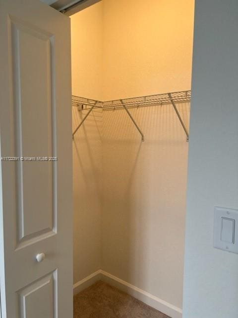 spacious closet with carpet floors