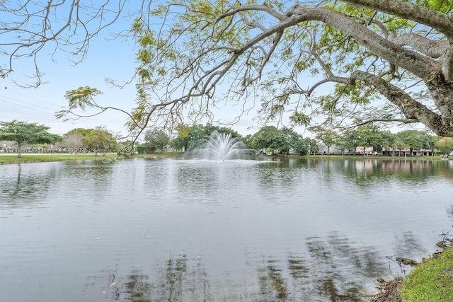 view of water feature