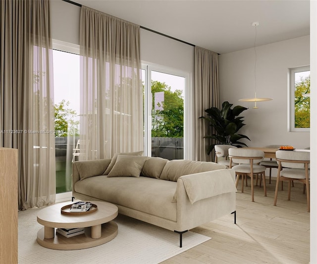 living room featuring light hardwood / wood-style flooring