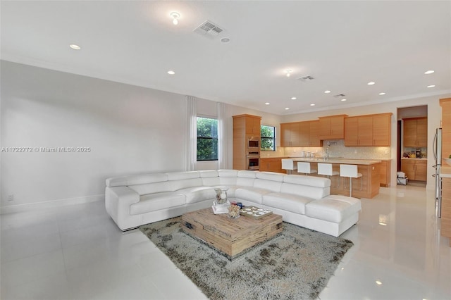 living room featuring sink