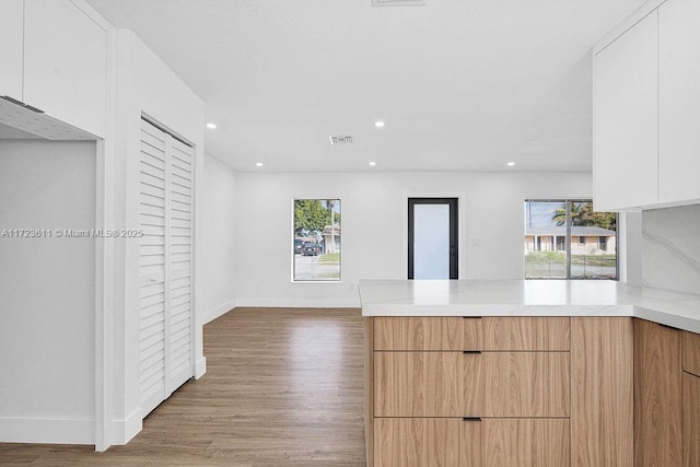 unfurnished living room with light hardwood / wood-style floors