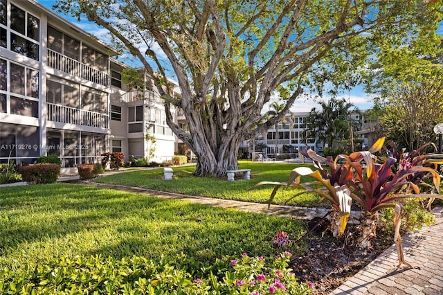 view of property's community featuring a lawn