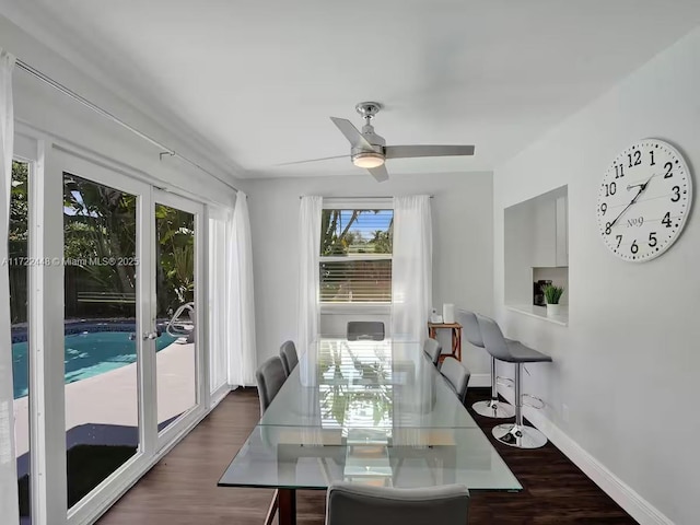 dining space featuring ceiling fan and dark hardwood / wood-style flooring