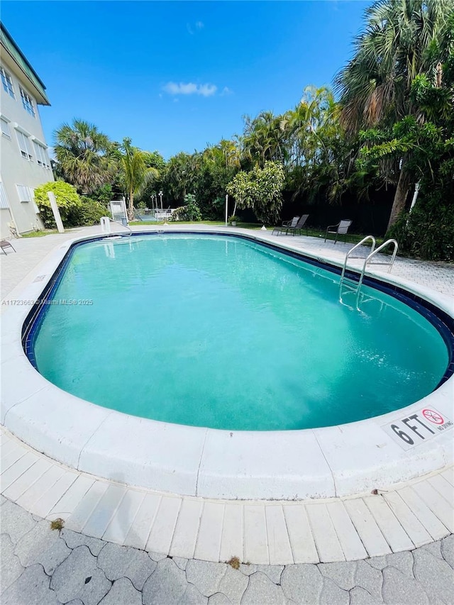 view of swimming pool